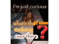 Chicken Price Sticker