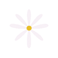 eufloresmyn flower flowers flores daisy Sticker