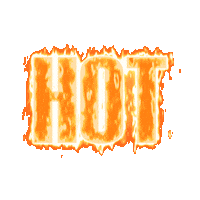 Party Wow Sticker