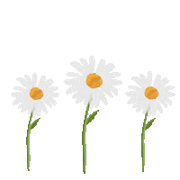 Decor Daisy Sticker by Bash Clothing