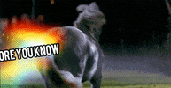 tag GIF