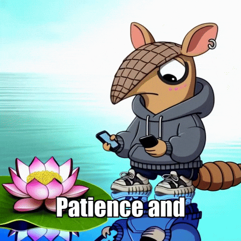 GIF by Chillo Dillo
