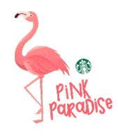 pinkparadise momentoenelparaiso Sticker by StarbucksChile