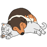 Big Dog Love Sticker by HyperBeard