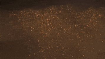 Sara Arjun GIF by Jio Studios