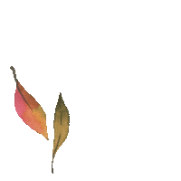 kru4inski vibes fall leaf leaves Sticker