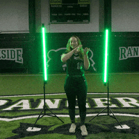 Parkside Softball GIF by Parkside Athletics