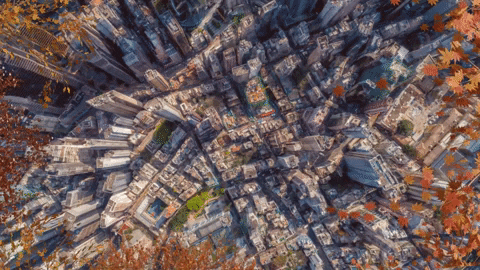 reinbijlsma giphyupload digital art vr surreal GIF