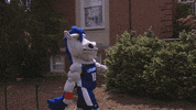 confidence lu GIF by Longwood University