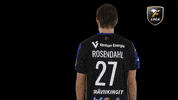 Floorball Salibandy GIF by F-liiga