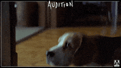 first date film GIF by Arrow Video