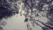Jesus Student GIF by sugarcreek_students