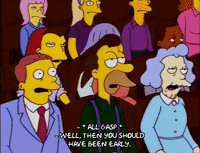 homer simpson wtf GIF