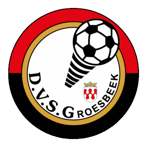 DVSGroesbeek giphyupload dvsg voetbalgroesbeek dehorst Sticker