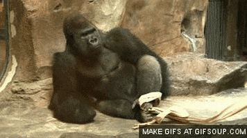 snack afternoon GIF