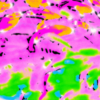 Loop Rainbow GIF by Toke