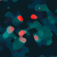Rainbow Loop GIF by Toke