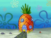 season 5 GIF by SpongeBob SquarePants