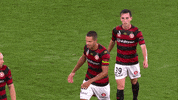 High Five Western Sydney Wanderers GIF by wswanderersfc