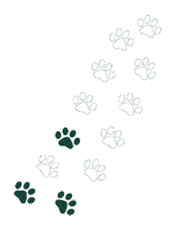 msucvm michigan state university green and white msuvets veterinary hospital Sticker