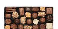 Los Angeles Chocolate Sticker by See's Candies