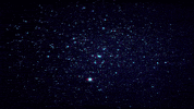 music video GIF by Blossöm Records