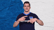 Football Soccer GIF by Hertha BSC