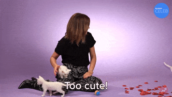 Too Cute!