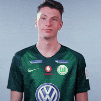 fifa 18 football GIF by VfL Wolfsburg