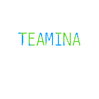 teamina_game cardgame teamina Sticker