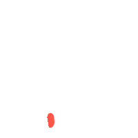 Waist Sticker by Elastique by Madame Sher