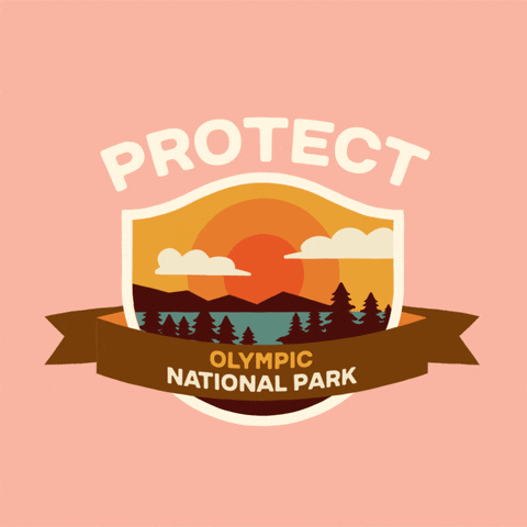 Digital art gif. Inside a shield insignia is a cartoon image of a blue lake in front of a mountain range and a beautiful sunset. Text above the shield reads, "protect." Text inside a ribbon overlaid over the shield reads, "Olympic National Park," all against a pale pink backdrop.