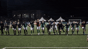 GVLTriumph soccer usl league one greenville triumph gvl triumph GIF