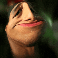 Ugly Face Beda GIF