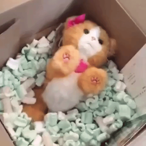 GIF by Product Hunt
