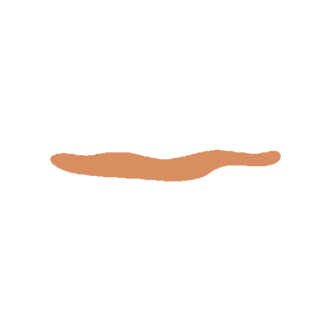 apolondon orange worm line brown Sticker