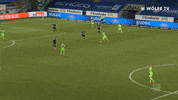 Football Sport GIF by VfL Wolfsburg