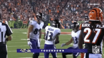 2018 Nfl Football GIF by NFL