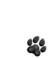 South Carolina Dog Sticker by University of South Carolina
