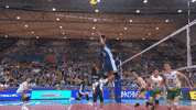 Australia Blocking GIF by Volleyball World
