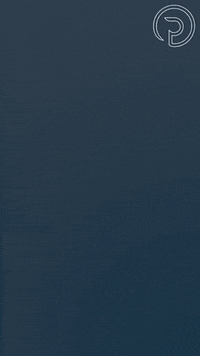 Leilao Leiloes GIF by Portella Leilões