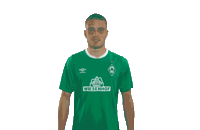 Football Bundesliga Sticker by SV Werder Bremen