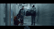Canadian Movie GIF by Indiecan Entertainment Inc.
