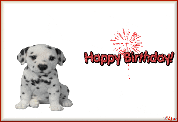 CuteAnimations giphyupload GIF