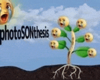 Photo Son GIF