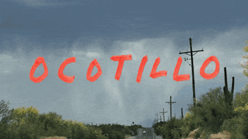 Road Trip Loma GIF by Sub Pop Records