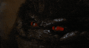 critters GIF by hero0fwar
