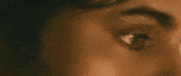 Trailer Pk GIF by Sharat North America Exhibition
