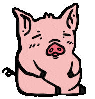 Pig Piggy Sticker