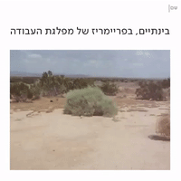 kan sham GIF